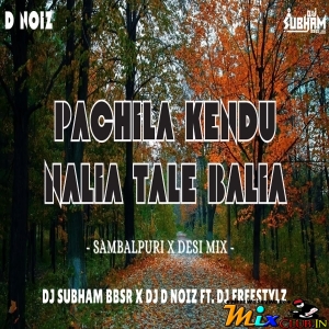 Pachila Kendu x Nalia Tale Balia (Desi Mix) DJ Subham BBSR x DJ D Noiz.mp3