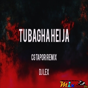 TU BAGHA HEI JA (CG TAPORI REMIX) DJ LEX.mp3