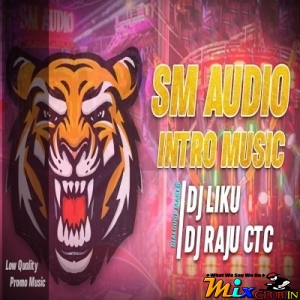 SM AUDIO (Intro Music Dance Mix) Dj Liku X Dj Raju Ctc.mp3