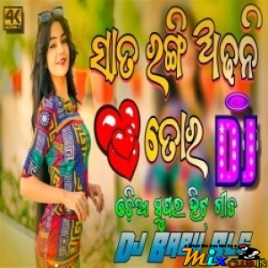 Sata Rangi Odhani Tora (Public Demand Remix) Dj Babu Bl.mp3
