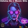 Sara Rati Ninda Bhuli ( Odia Song Full Humming Dance Mix) Dj Srj Remix