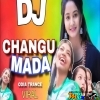 To Duare Haba Changu Mada Vs Dalema Panner (Trance Mix) Dj Oye Debashis