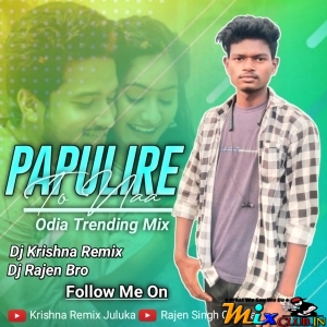 Papulire To Naa (Trending Dance Mix) Dj Rajen Bro X Krishna Remix.mp3