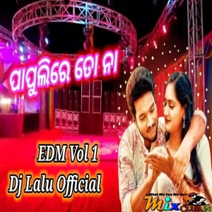 Papulire To Naa (Edm Dance Vol.1) Dj Lalu Official.mp3