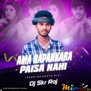 Ama bapankara paisa nahi ( Humming Dance Mix ) Dj Skr Raj.mp3