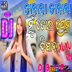 Ta Na Na Ta Na Na Tu Tora Prema Deewana (Tapori Dance Remix) Dj Babu Bls.mp3