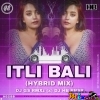 ITLI BALI (HYBRID MIX) DJ GS RMXz x DJ HB BBSR