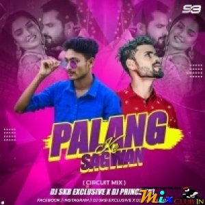 PALANG SAGWAN KE ( CIRCUIT MIX ) DJ SKB X DJ PRINCE.mp3