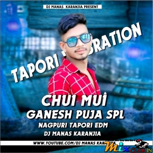 CHUI MUI NEW NAGPURI (EDM TAPORI MATAL DANCE MIX) DJ MANAS KARANJIA.mp3