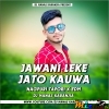 JAWANI LEKE JATO (EDM TAPORI DANCE MIX) DJ MANAS KARANJIA