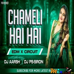 CHAMELI HAI HAI (PRIVATE MIX) DJ AARSH X PS SIRON.mp3