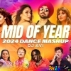 Mid Of Year 2024 Dance Mashup Dj Avi  HollyBolly Party Songs 2024